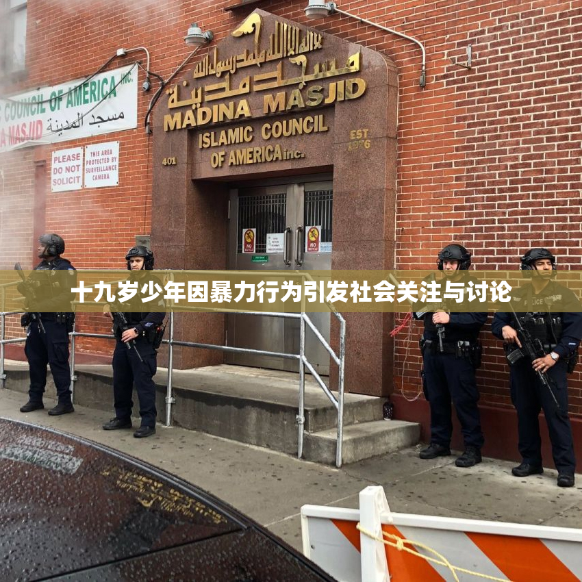 十九岁少年因暴力行为引发社会关注与讨论