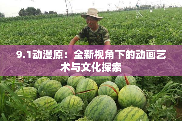 9.1动漫原：全新视角下的动画艺术与文化探索