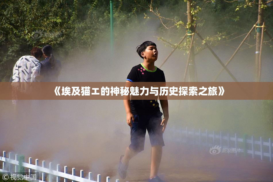 《埃及猫エ的神秘魅力与历史探索之旅》