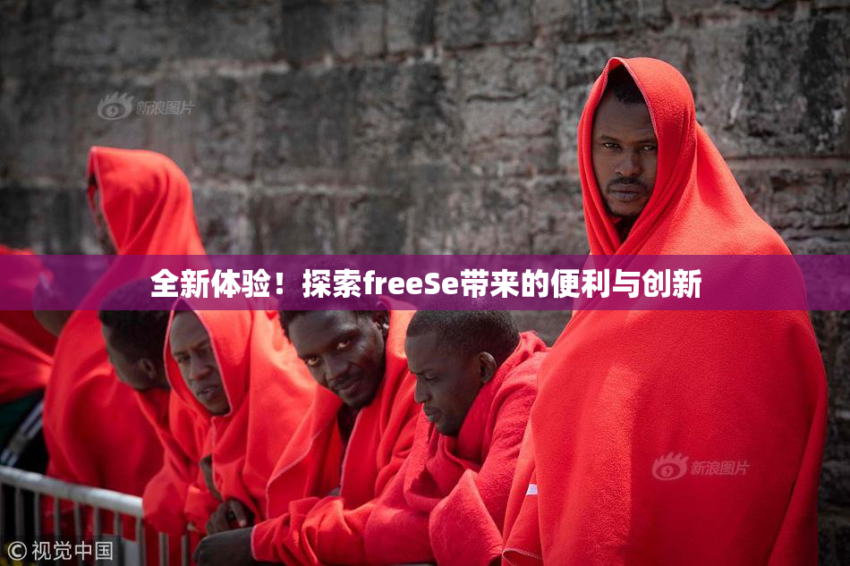 全新体验！探索freeSe带来的便利与创新
