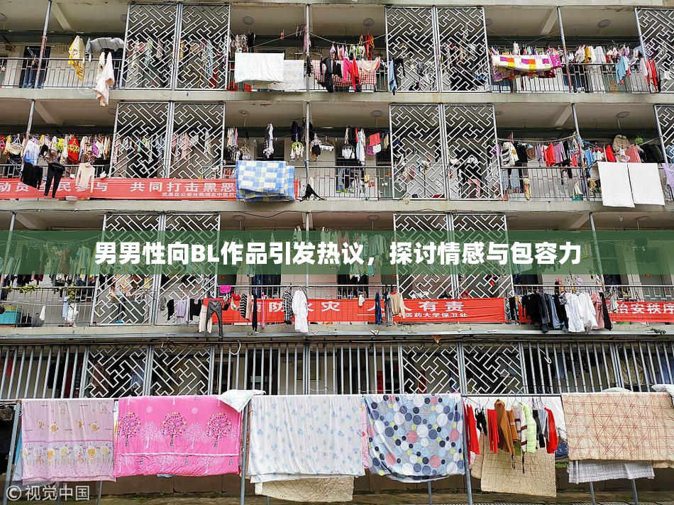 男男性向BL作品引发热议，探讨情感与包容力