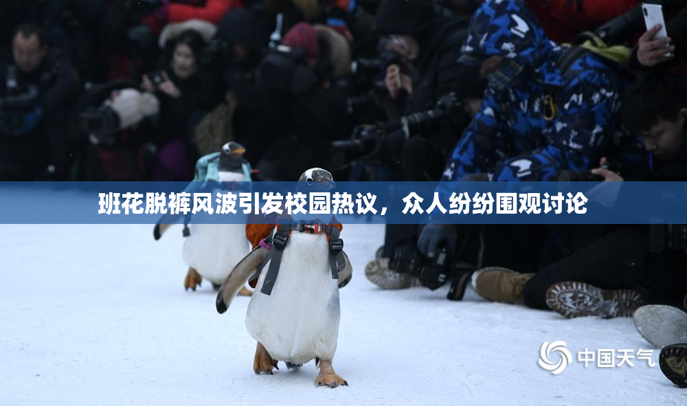 班花脱裤风波引发校园热议，众人纷纷围观讨论
