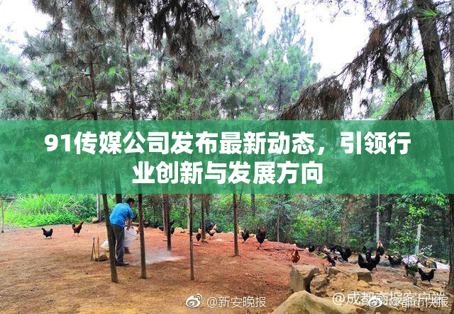 91传媒公司发布最新动态，引领行业创新与发展方向