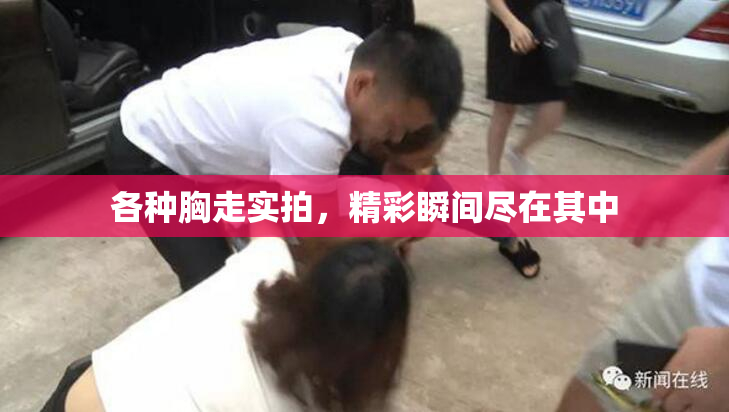 各种胸走实拍，精彩瞬间尽在其中