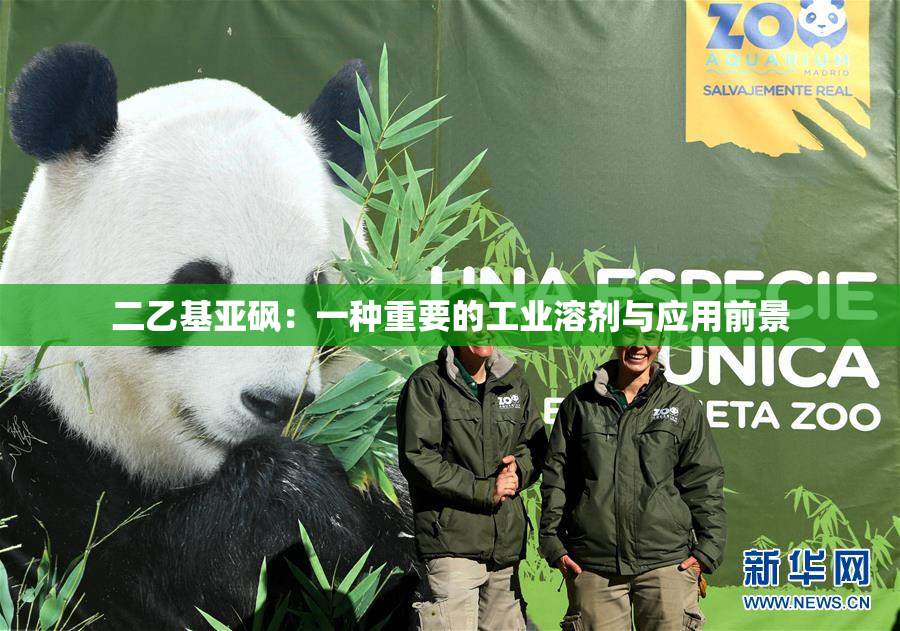 二乙基亚砜：一种重要的工业溶剂与应用前景