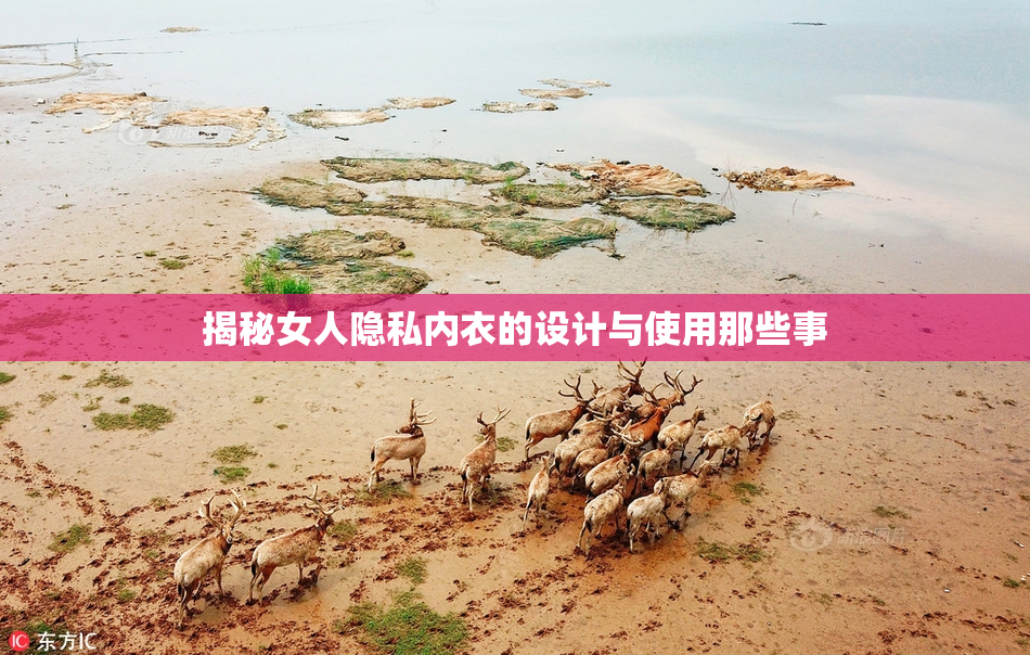 揭秘女人隐私内衣的设计与使用那些事