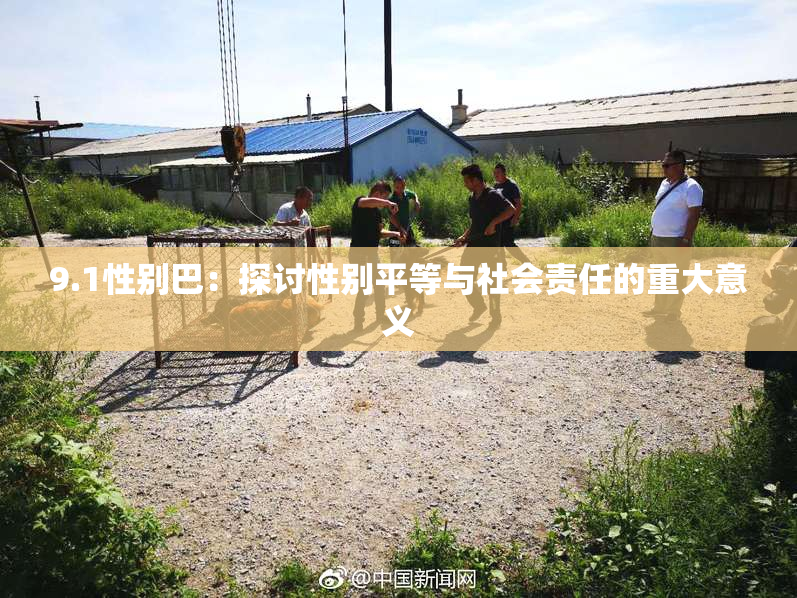 9.1性别巴：探讨性别平等与社会责任的重大意义