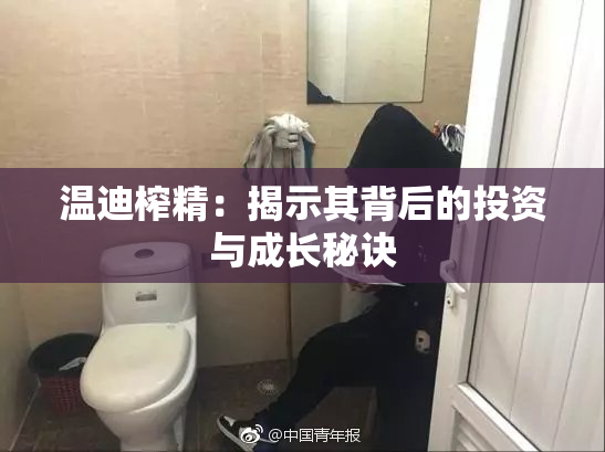 温迪榨精：揭示其背后的投资与成长秘诀