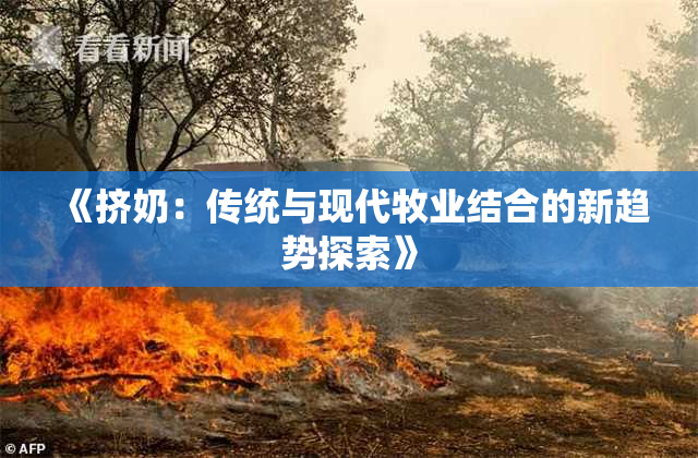 《挤奶：传统与现代牧业结合的新趋势探索》