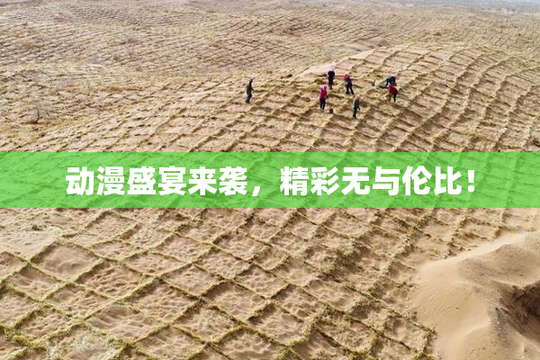 动漫盛宴来袭，精彩无与伦比！