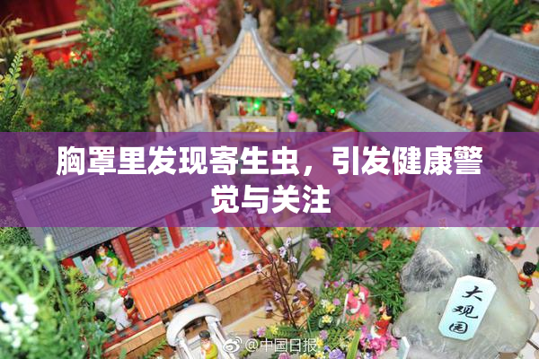 胸罩里发现寄生虫，引发健康警觉与关注