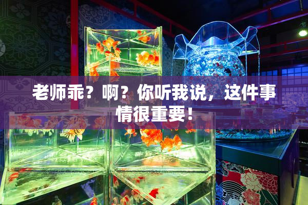 老师乖？啊？你听我说，这件事情很重要！
