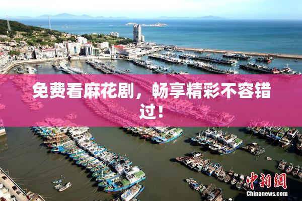 免费看麻花剧，畅享精彩不容错过！