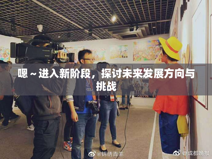 嗯～进入新阶段，探讨未来发展方向与挑战