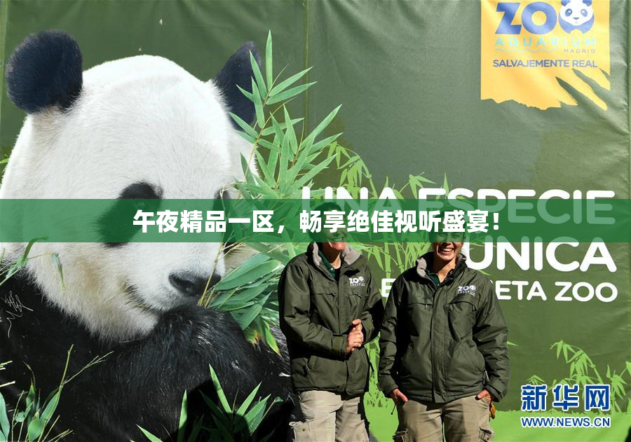 午夜精品一区，畅享绝佳视听盛宴！
