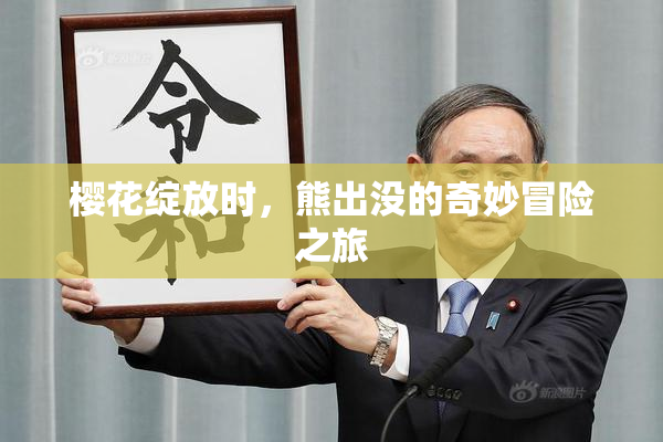 樱花绽放时，熊出没的奇妙冒险之旅