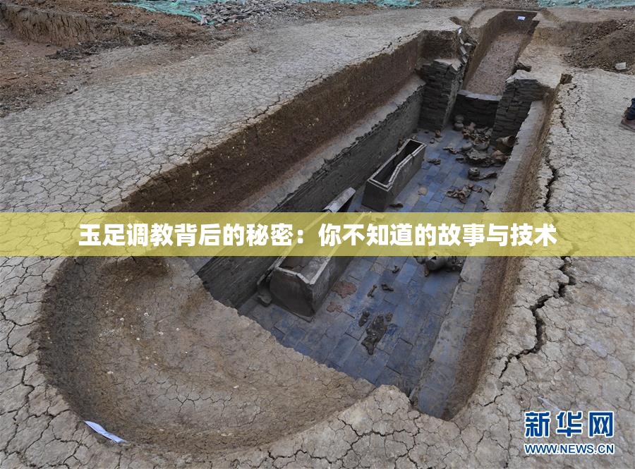 玉足调教背后的秘密：你不知道的故事与技术