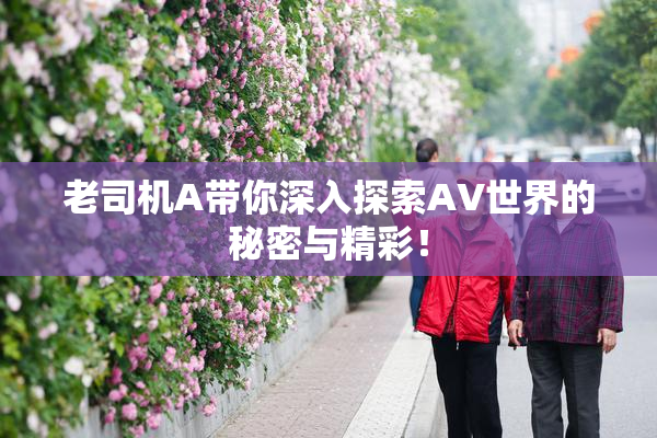老司机A带你深入探索AV世界的秘密与精彩！