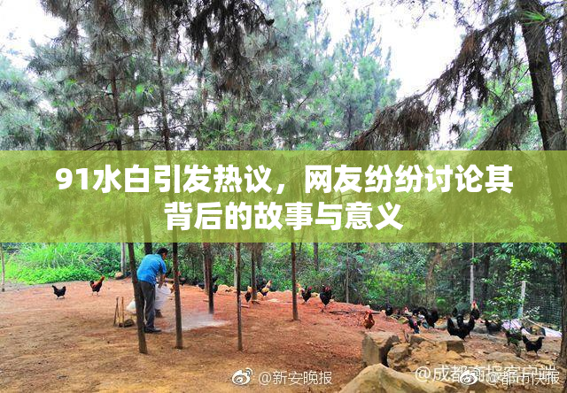 91水白引发热议，网友纷纷讨论其背后的故事与意义