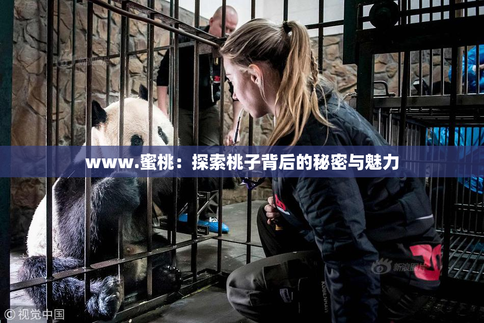 www.蜜桃：探索桃子背后的秘密与魅力