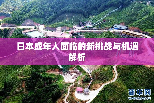 日本成年人面临的新挑战与机遇解析