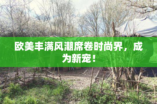 欧美丰满风潮席卷时尚界，成为新宠！
