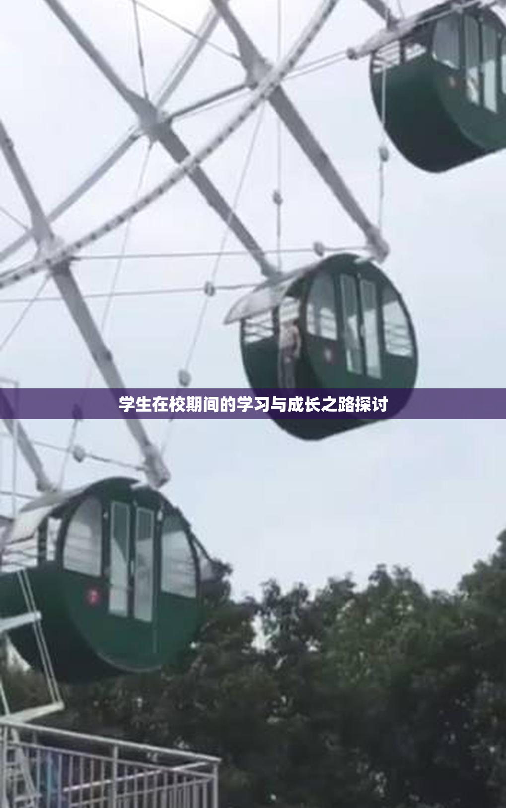 学生在校期间的学习与成长之路探讨