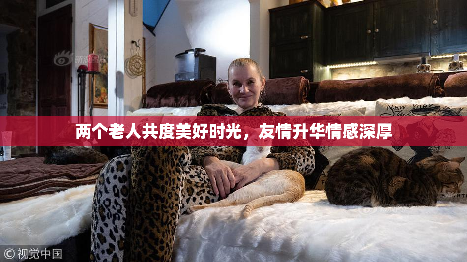 两个老人共度美好时光，友情升华情感深厚