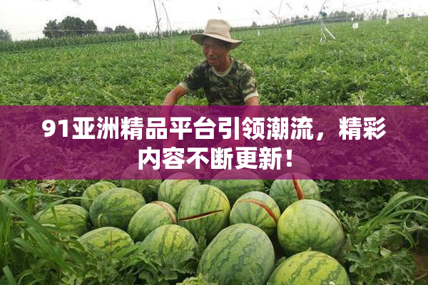 91亚洲精品平台引领潮流，精彩内容不断更新！