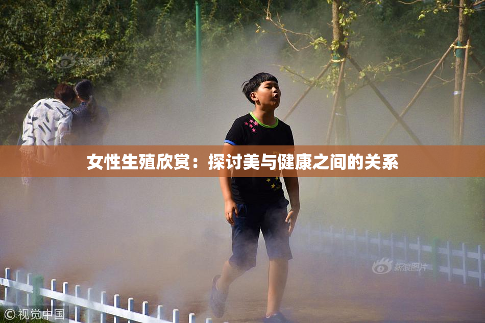 女性生殖欣赏：探讨美与健康之间的关系