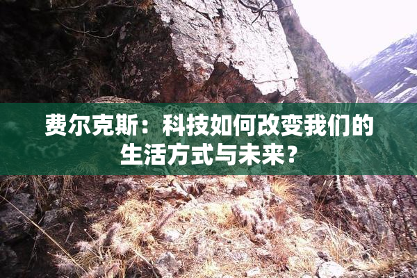 费尔克斯：科技如何改变我们的生活方式与未来？