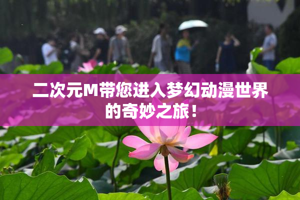 二次元M带您进入梦幻动漫世界的奇妙之旅！