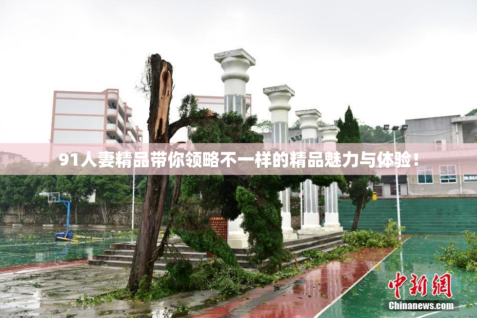 91人妻精品带你领略不一样的精品魅力与体验！