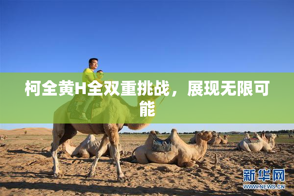 柯全黄H全双重挑战，展现无限可能
