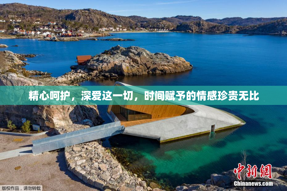 精心呵护，深爱这一切，时间赋予的情感珍贵无比