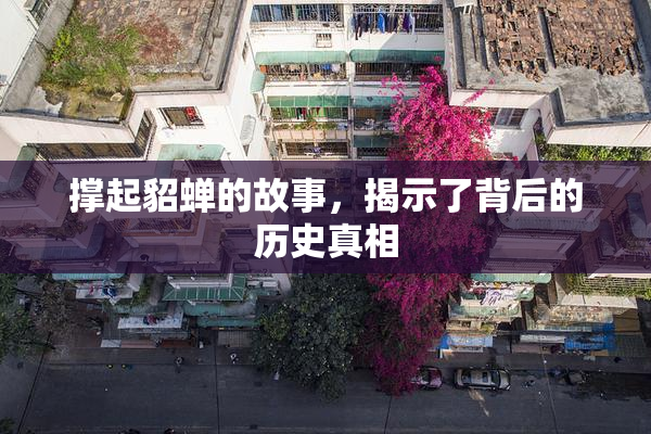 撑起貂蝉的故事，揭示了背后的历史真相