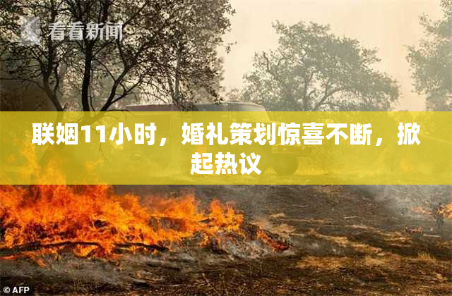 联姻11小时，婚礼策划惊喜不断，掀起热议