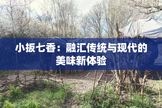 小扳七香：融汇传统与现代的美味新体验