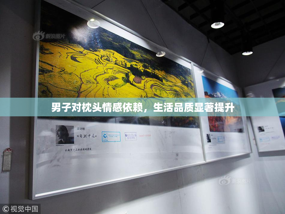 男子对枕头情感依赖，生活品质显著提升