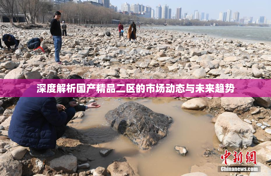 深度解析国产精品二区的市场动态与未来趋势