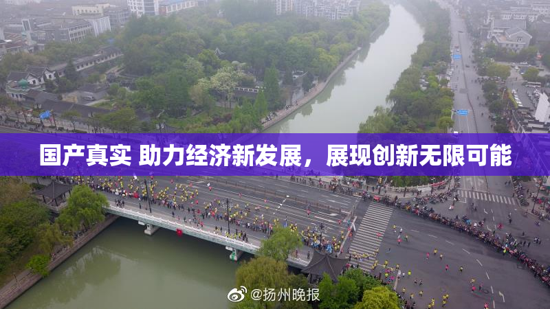 国产真实 助力经济新发展，展现创新无限可能