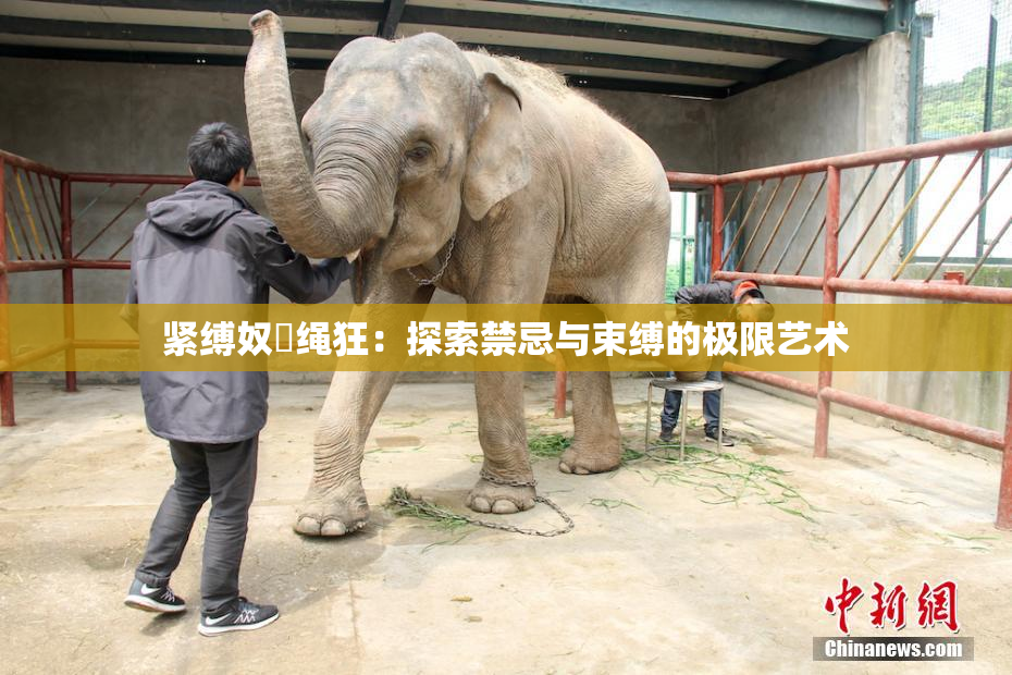 紧缚奴隷绳狂：探索禁忌与束缚的极限艺术