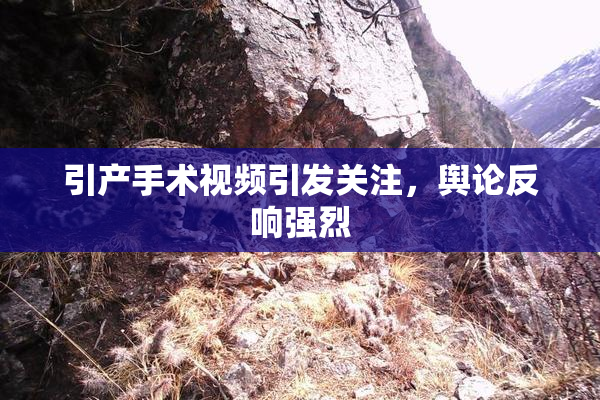 引产手术视频引发关注，舆论反响强烈
