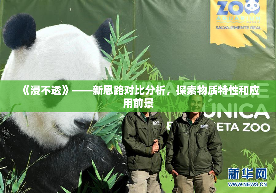 《浸不透》——新思路对比分析，探索物质特性和应用前景