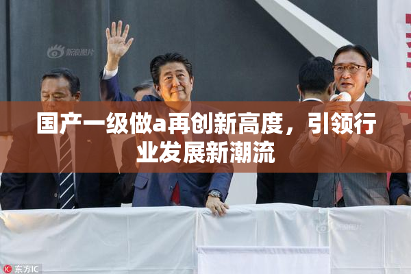 国产一级做a再创新高度，引领行业发展新潮流