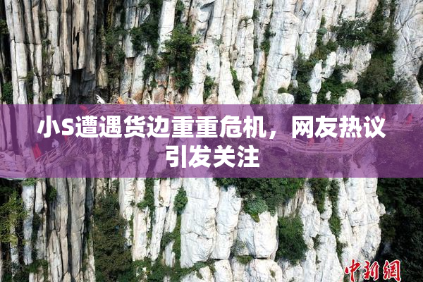 小S遭遇货边重重危机，网友热议引发关注
