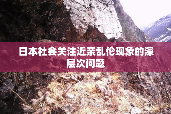 日本社会关注近亲乱伦现象的深层次问题
