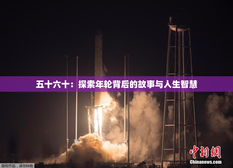 五十六十：探索年轮背后的故事与人生智慧
