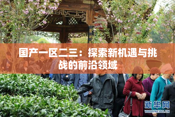 国产一区二三：探索新机遇与挑战的前沿领域