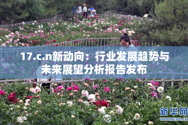 17.c.n新动向：行业发展趋势与未来展望分析报告发布